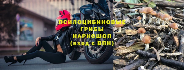 МДПВ Богданович